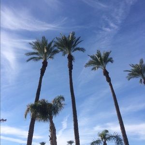 Meet your Posher, Kennedy